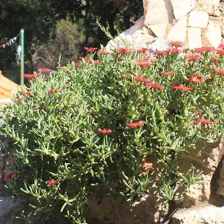 Seaside House Lucica, - 8348 * Lastovo