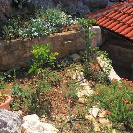 Seaside House Lucica, - 8348 * Lastovo