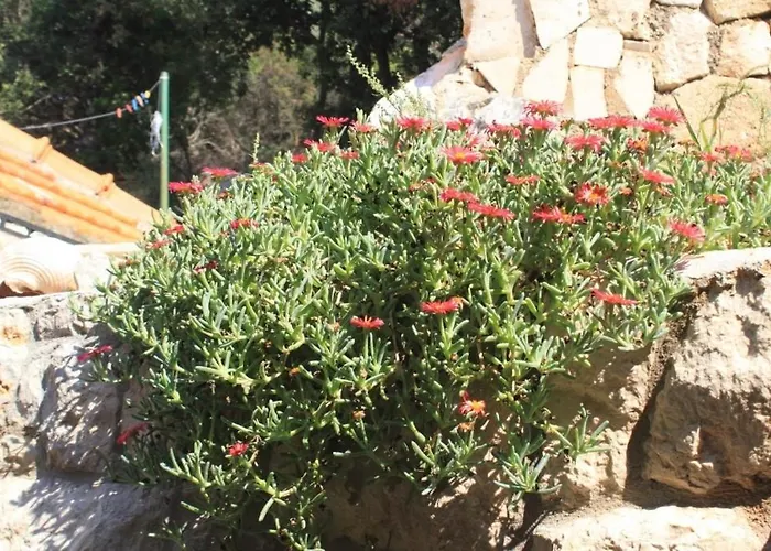 Seaside House Lucica, - 8348 * Lastovo